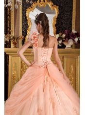 Light Pink Ball Gown One Shoulder Floor-length Appliques Tulle Quinceanera Dress