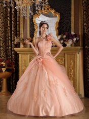 Light Pink Ball Gown One Shoulder Floor-length Appliques Tulle Quinceanera Dress