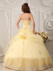 Light Yellow Ball Gown Sweetheart Floor-length Organza Appliques Quinceanera Dress