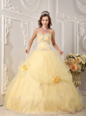 Light Yellow Ball Gown Sweetheart Floor-length Organza Appliques Quinceanera Dress