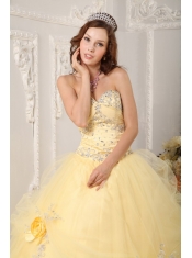 Light Yellow Ball Gown Sweetheart Floor-length Organza Appliques Quinceanera Dress