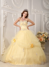 Light Yellow Ball Gown Sweetheart Floor-length Organza Appliques Quinceanera Dress