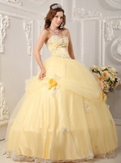 Light Yellow Ball Gown Sweetheart Floor-length Organza Appliques Quinceanera Dress