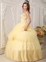 Light Yellow Ball Gown Sweetheart Floor-length Organza Appliques Quinceanera Dress