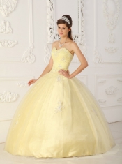 Light Yellow Ball Gown Sweetheart Floor-length Taffeta and Organza Appliques Quinceanera Dress