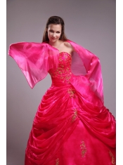 Modest  Ball Gown Strapless Floor-length Orangza Applqiues Red Quinceanera Dress