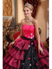 Multi-color Ball Gown Strapless Floor-length Organza Appliques Quinceanera Dress