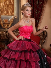 Multi-color Ball Gown Strapless Floor-length Organza Appliques Quinceanera Dress