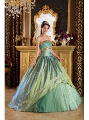 Olive Green Ball Gown Strapless Floor-length Taffeta and Organza Appliques Quinceanera Dress
