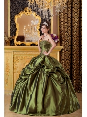 Olive Green Ball Gown Strapless Floor-length Taffeta Appliques Quinceanera Dress