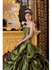 Olive Green Ball Gown Strapless Floor-length Taffeta Appliques  Quinceanera Dress