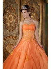 Orange Ball Gown Sweetheart Floor-length Organza Appliques Quinceanera Dress
