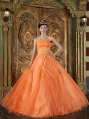 Orange Ball Gown Sweetheart Floor-length Organza Appliques Quinceanera Dress