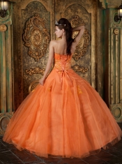 Orange Ball Gown Sweetheart Floor-length Organza Appliques Quinceanera Dress
