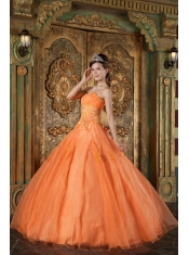 Orange Ball Gown Sweetheart Floor-length Organza Appliques Quinceanera Dress