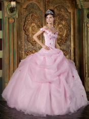 Pink Ball Gown Off The Shoulder Floor-length Organza Appliques Quinceanera Dress
