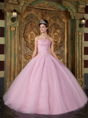 Pink Ball Gown Strapless Floor-length Appliques Tulle Quinceanera Dress