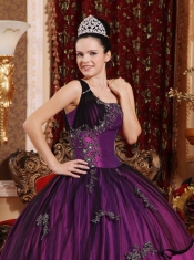 Purple Ball Gown One Shoulder Taffeta and Organza Beading and Appliques Quinceanera Dress