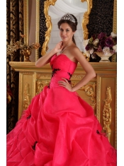 Red Ball Gown Sweetheart Floor-length Organza Appliques Quinceanera Dress