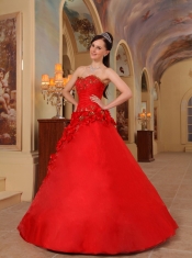 Red Ball Gown Sweetheart Floor-length Organza Handle Made Flowers  Sweet 16 Dress