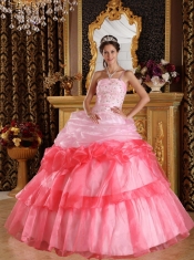 Romantic Ball Gown One Shoulder Floor-length Organza Appliques with Beading Quinceanera Dress