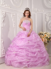 Pink Ball Gown Strapless Floor-length Organza Appliques  Quinceanera Dress