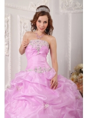 Pink Ball Gown Strapless Floor-length Organza Appliques  Quinceanera Dress