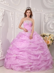 Pink Ball Gown Strapless Floor-length Organza Appliques  Quinceanera Dress