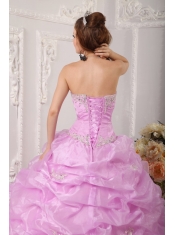 Pink Ball Gown Strapless Floor-length Organza Appliques  Quinceanera Dress