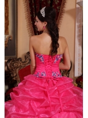 Rose Pink Ball Gown Strapless Floor-length Organza Appliques Quinceanera Dress
