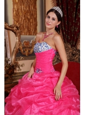 Rose Pink Ball Gown Strapless Floor-length Organza Appliques Quinceanera Dress