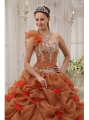 Rust Red Ball Gown One Shoulder Floor-length Organza Appliques Quinceanera Dress