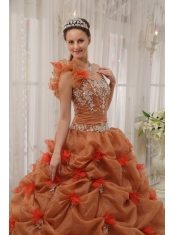 Rust Red Ball Gown One Shoulder Floor-length Organza Appliques Quinceanera Dress