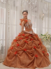 Rust Red Ball Gown One Shoulder Floor-length Organza Appliques Quinceanera Dress