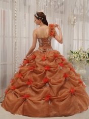 Rust Red Ball Gown One Shoulder Floor-length Organza Appliques Quinceanera Dress