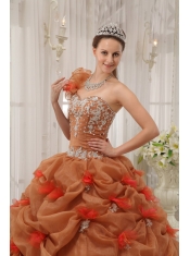 Rust Red Ball Gown One Shoulder Floor-length Organza Appliques Quinceanera Dress