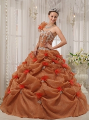 Rust Red Ball Gown One Shoulder Floor-length Organza Appliques Quinceanera Dress