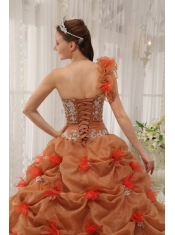 Rust Red Ball Gown One Shoulder Floor-length Organza Appliques Quinceanera Dress