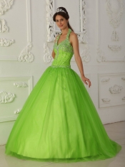 Spring Green A-line Halter Floor-length Tulle Beading Quinceanera Dress