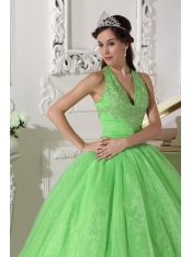 Spring Green Ball Gown Halter Floor-length Taffeta and Organza Appliques Quinceanera Dress