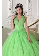 Spring Green Ball Gown Halter Floor-length Taffeta and Organza Appliques Quinceanera Dress