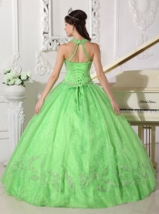 Spring Green Ball Gown Halter Floor-length Taffeta and Organza Appliques Quinceanera Dress