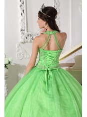 Spring Green Ball Gown Halter Floor-length Taffeta and Organza Appliques Quinceanera Dress