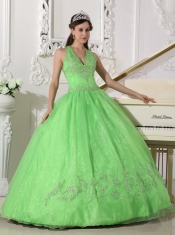 Spring Green Ball Gown Halter Floor-length Taffeta and Organza Appliques Quinceanera Dress
