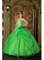 Spring Green Ball Gown Strapless Floor-length Organza Beading Quinceanera Dress