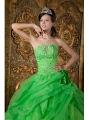 Spring Green Ball Gown Strapless Floor-length Organza Beading Quinceanera Dress