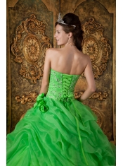 Spring Green Ball Gown Strapless Floor-length Organza Beading Quinceanera Dress