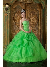 Spring Green Ball Gown Strapless Floor-length Organza Beading Quinceanera Dress