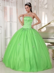 Spring Green Ball Gown Strapless Floor-length Taffeta and Tulle Appliques Quinceanera Dress