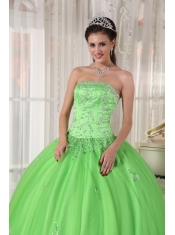 Spring Green Ball Gown Strapless Floor-length Taffeta and Tulle Appliques Quinceanera Dress